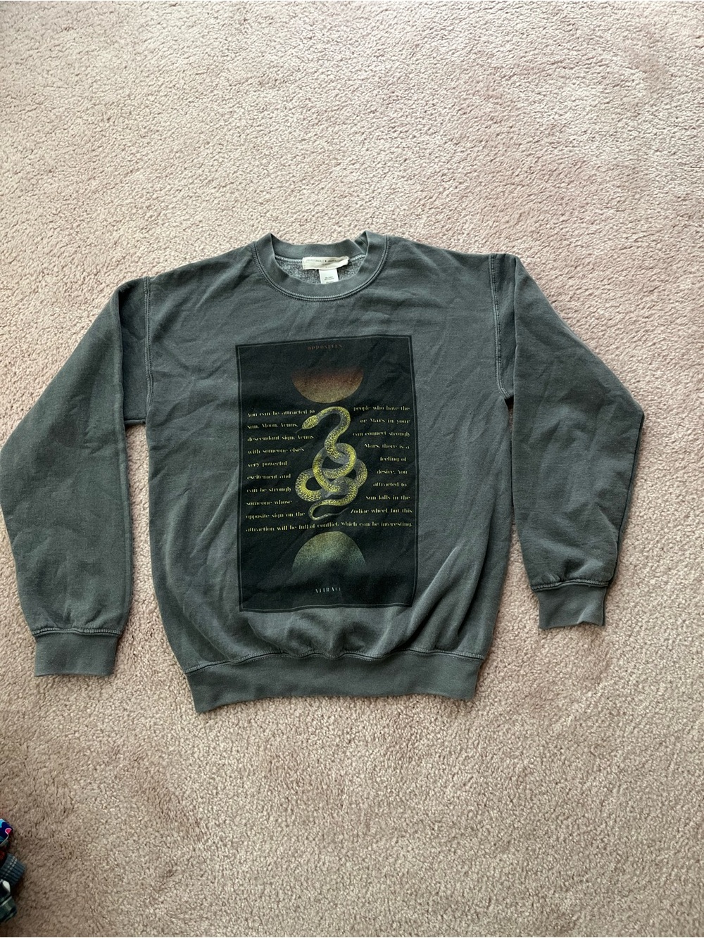 Urban Outfitters Charcoal Crewneck Sweatshirt with Yellow Snake Graphic
